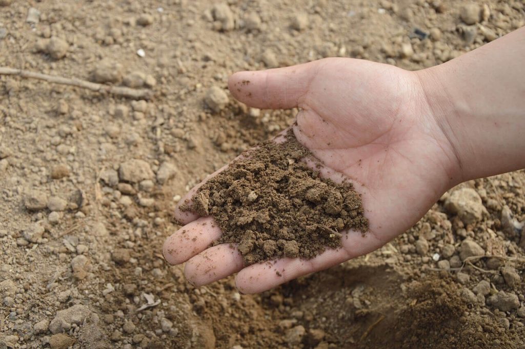 A person's hand holding soil. Image by Jing from Pixabay