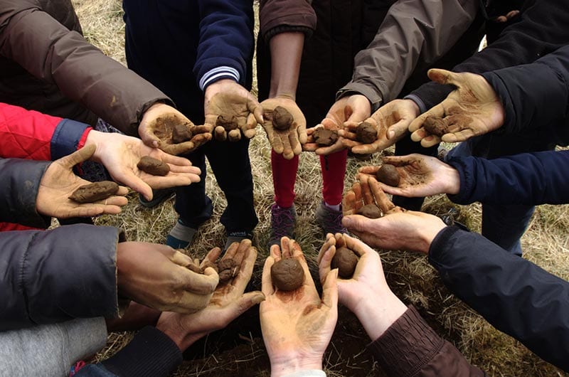 A group of hands with soil balls
