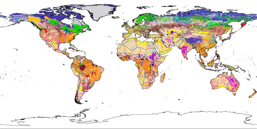 A global soil map, various regions covered in different colors