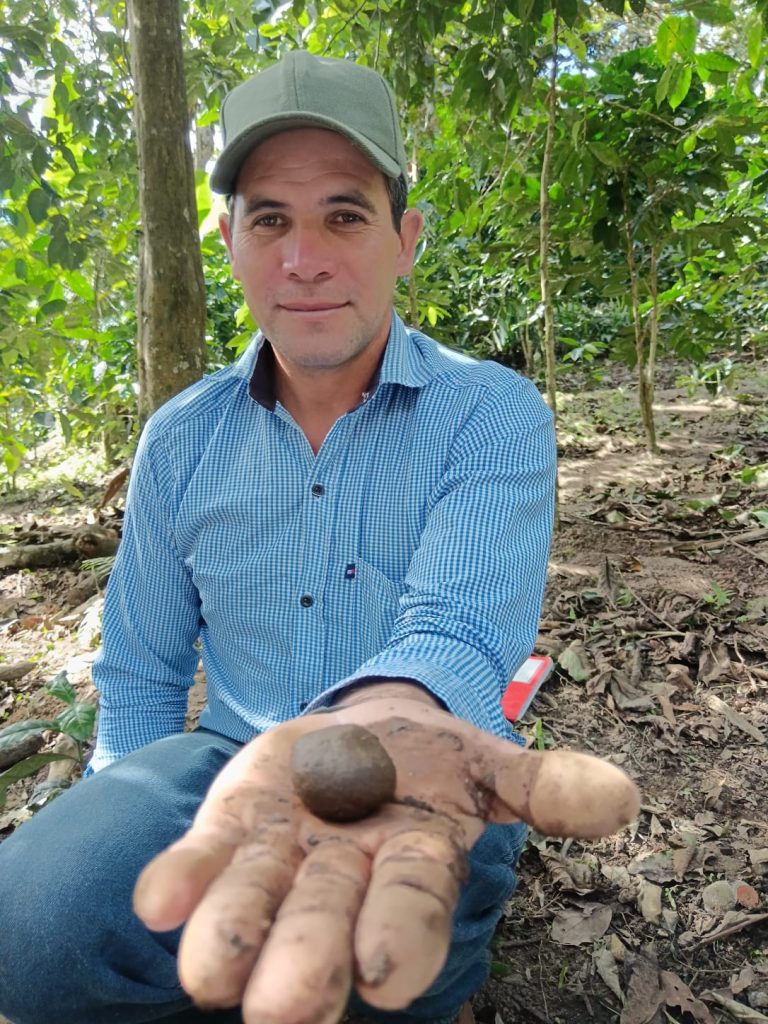 A man holds a ball of soil up to the camera